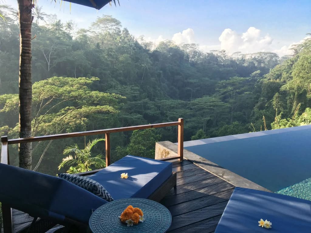Ubud Valley Boutique Resort - photo 14