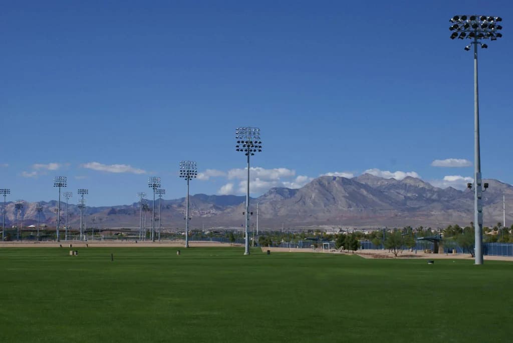 Hampton Inn Las Vegas/Summerlin - photo 23