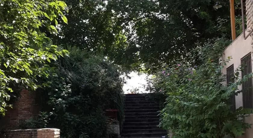 Guesthouse Dinara - photo 3