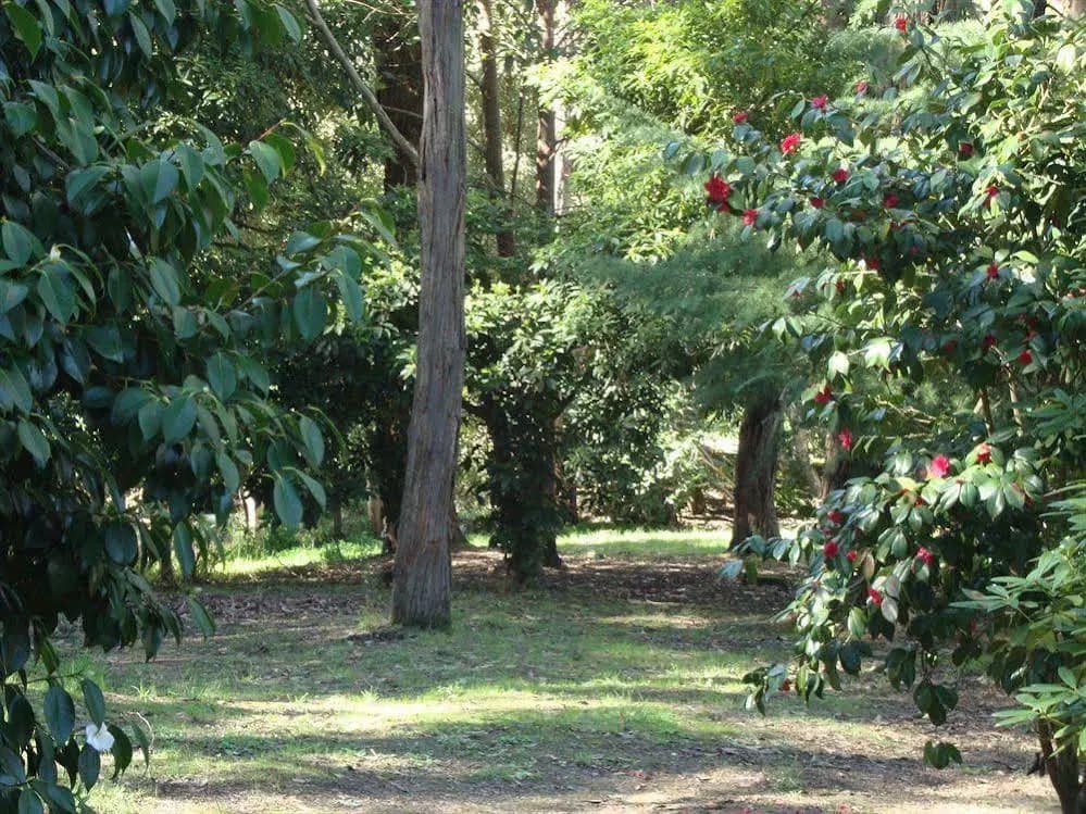 Sunway Farm Bed & Breakfast & Rosebud Cottage - photo 16