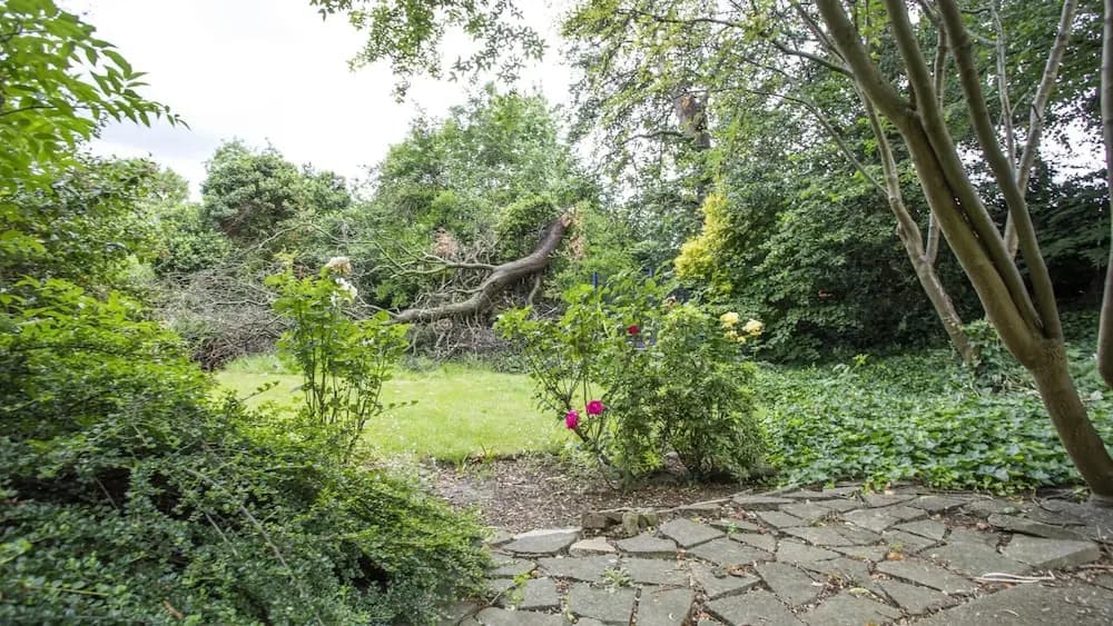 London Apartment- 4 Bedrooms-garden and Parking - photo 11