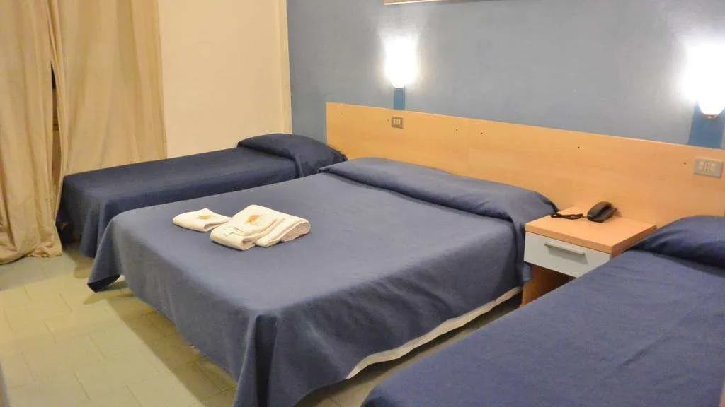 Hotel Ambrosiana - photo 6