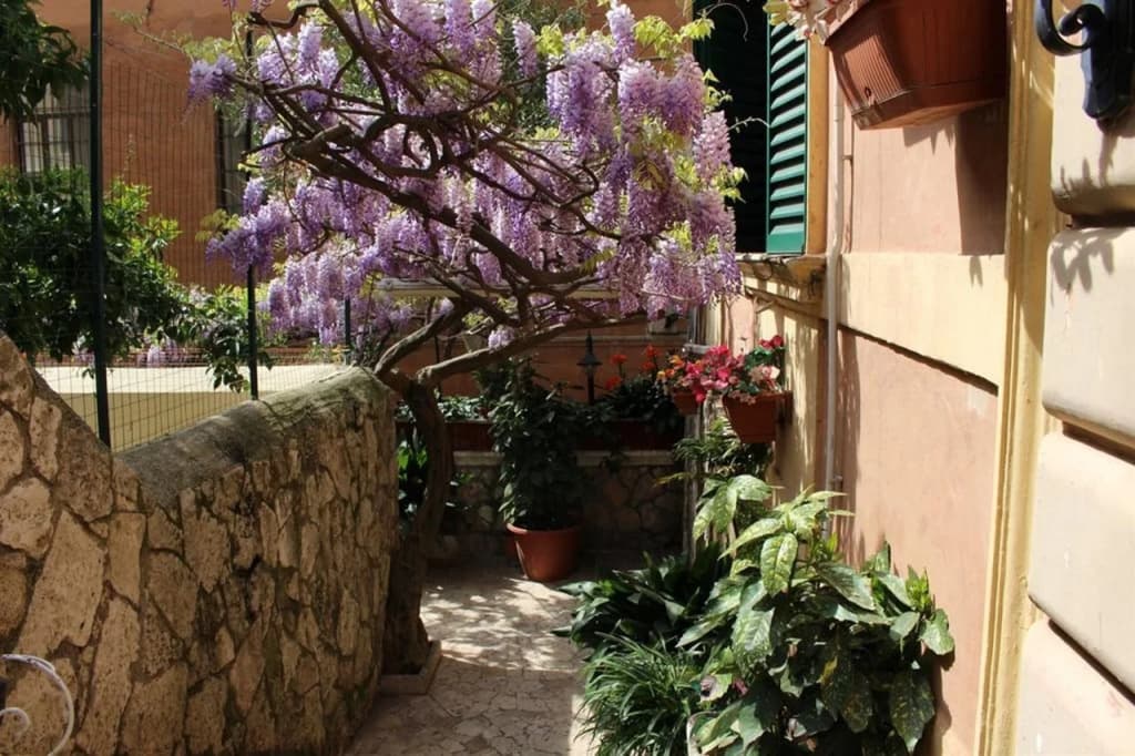 Hotel Pavia - photo 4