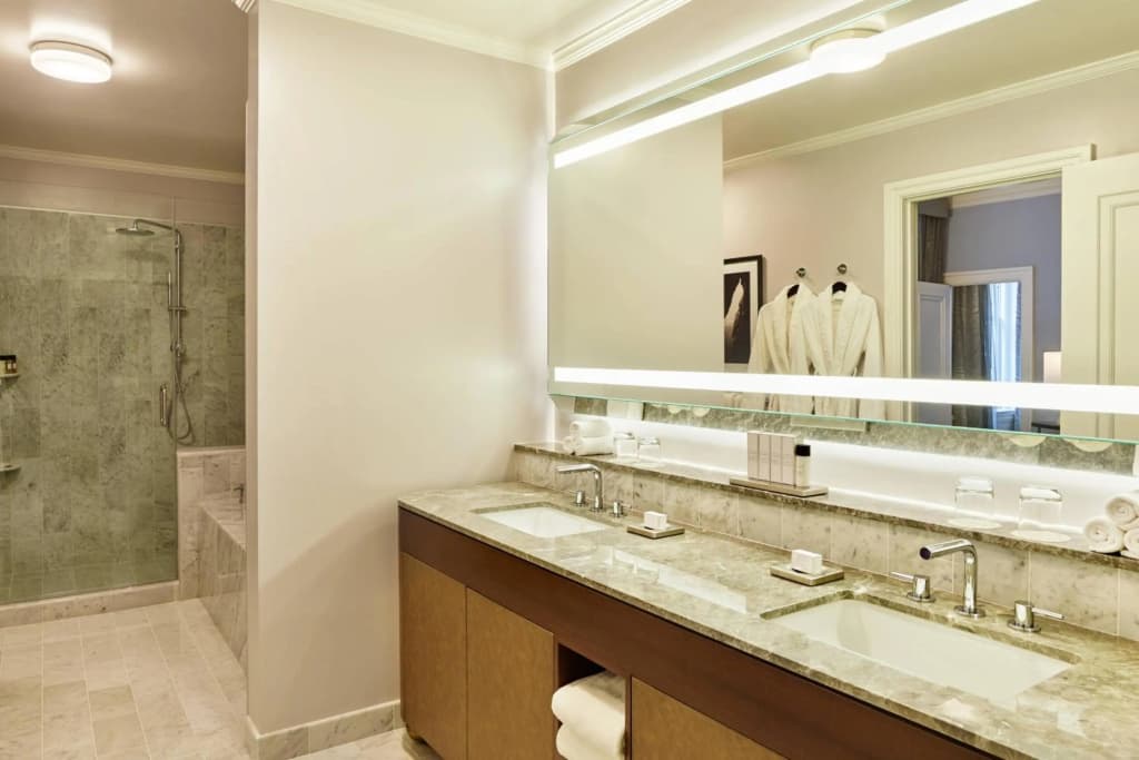 Palace Hotel, a Luxury Collection Hotel, San Francisco - photo 10