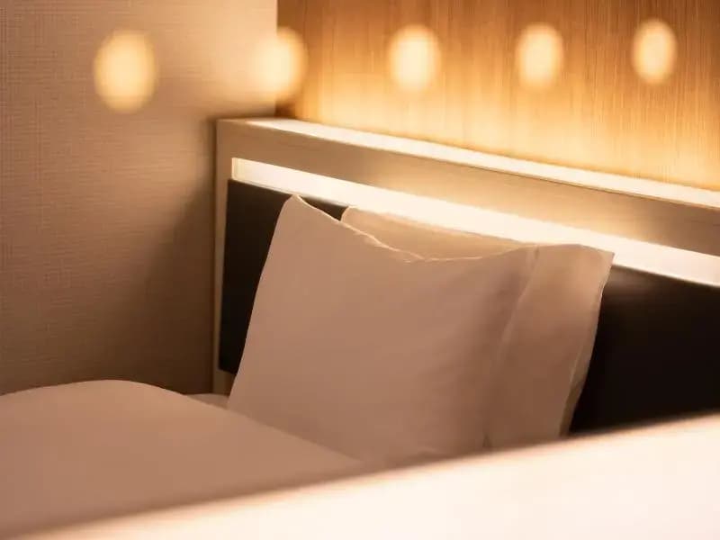 Hotel Oriental Express Ginza West - photo 35