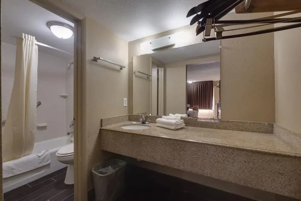 Countryside Inn & Suites Orlando - photo 7