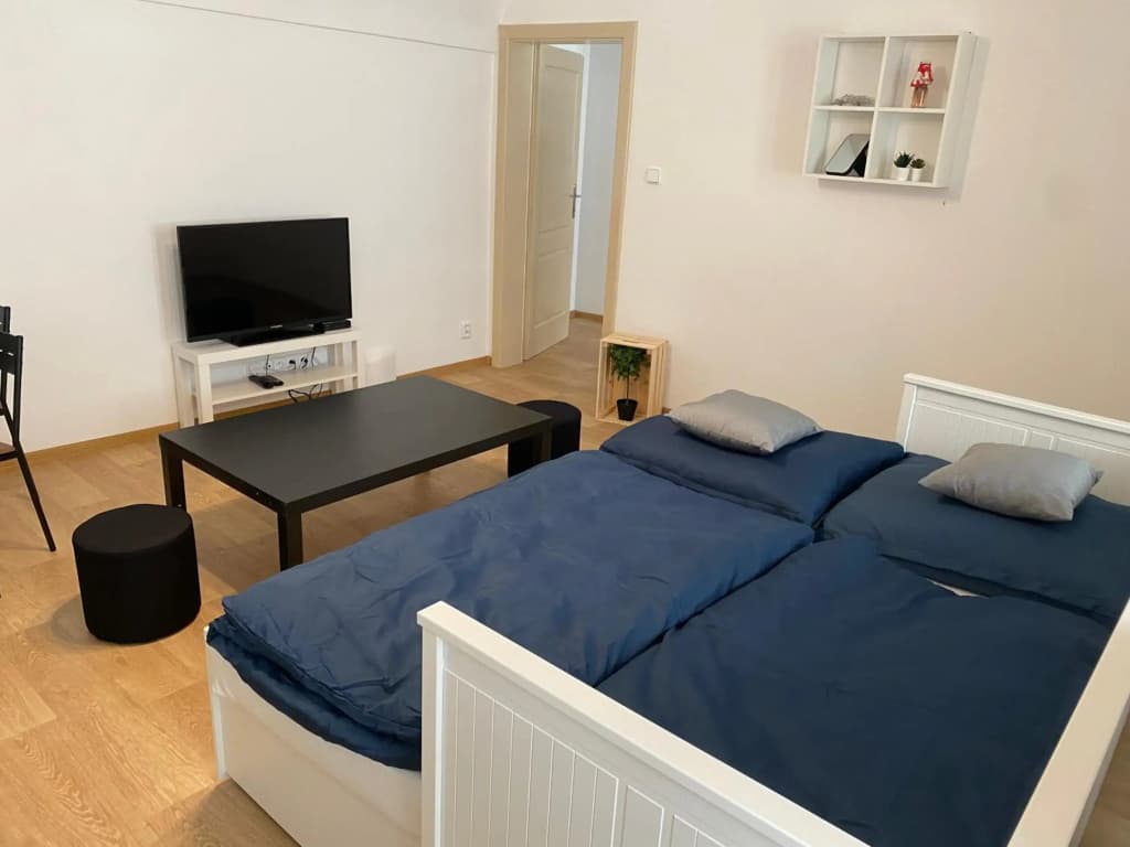 Nerudova Apartments - photo 3