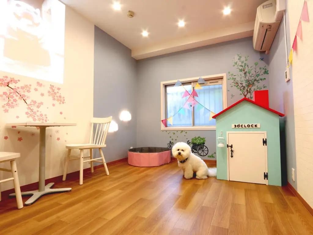 Hotel 3 O'Clock Tennoji - photo 10