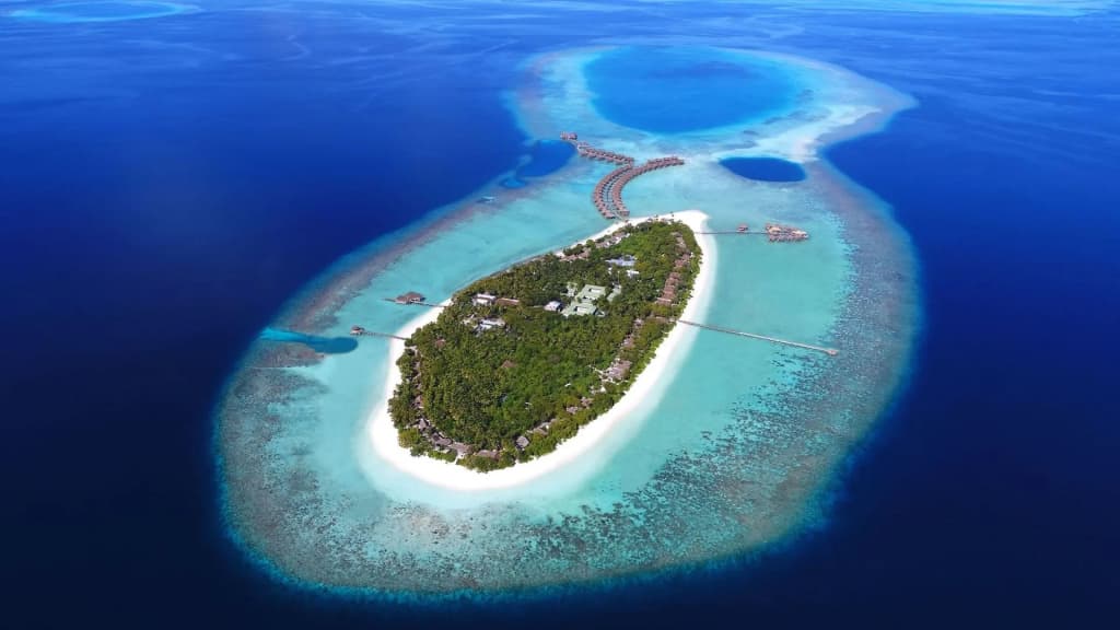 Vakkaru Maldives Hotel - photo 44