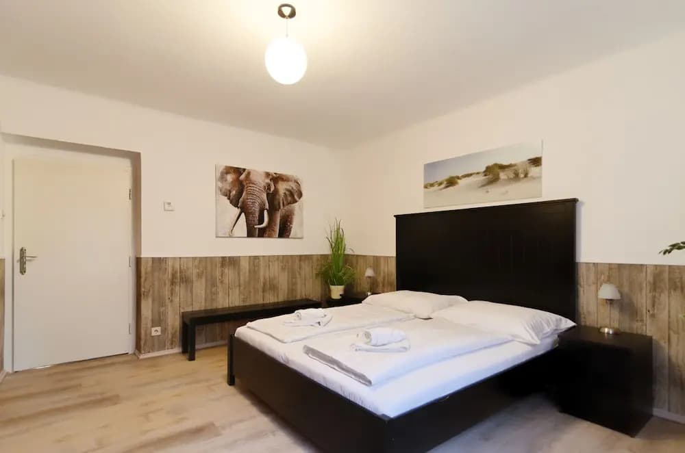 Manu Apartment - photo 5