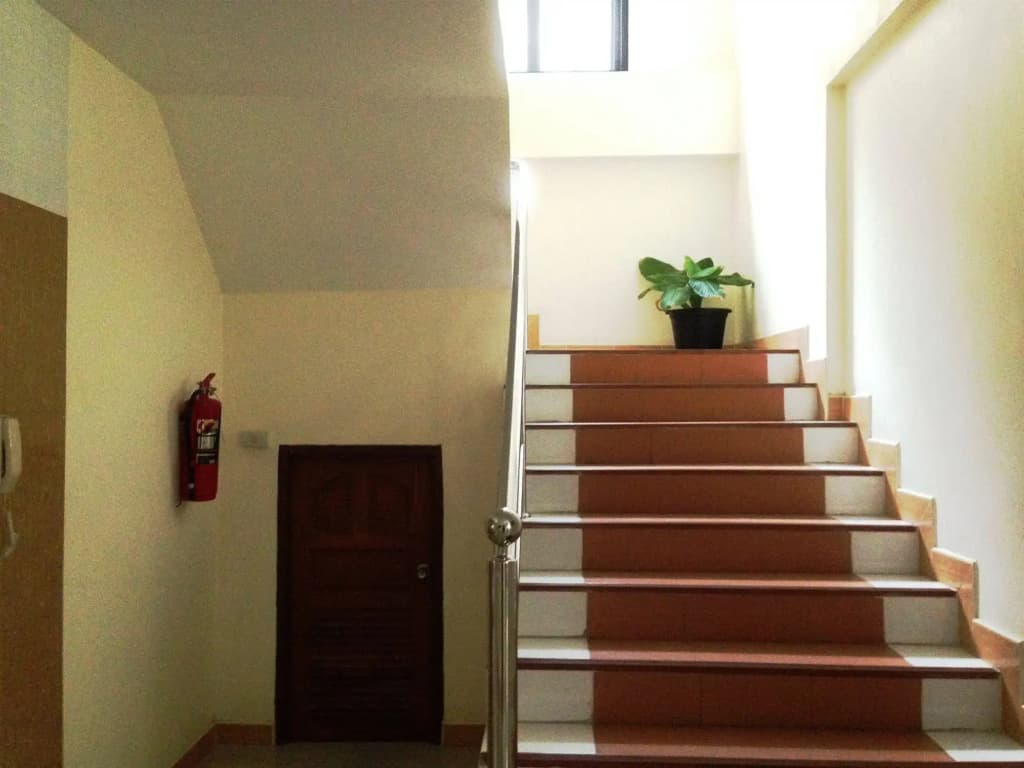 Maple Mansion - photo 10