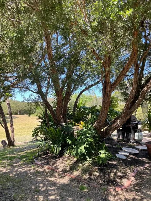 The Fingal Farm - photo 5