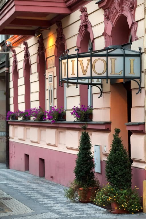 Hotel Tivoli Prague - photo 24