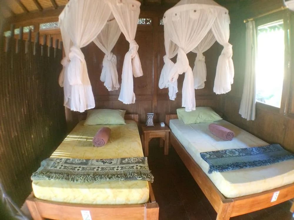 Green Paddy Hostel - photo 5