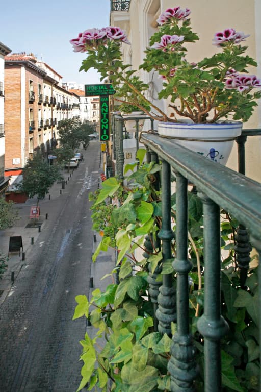 Hostal San Antonio - photo 14