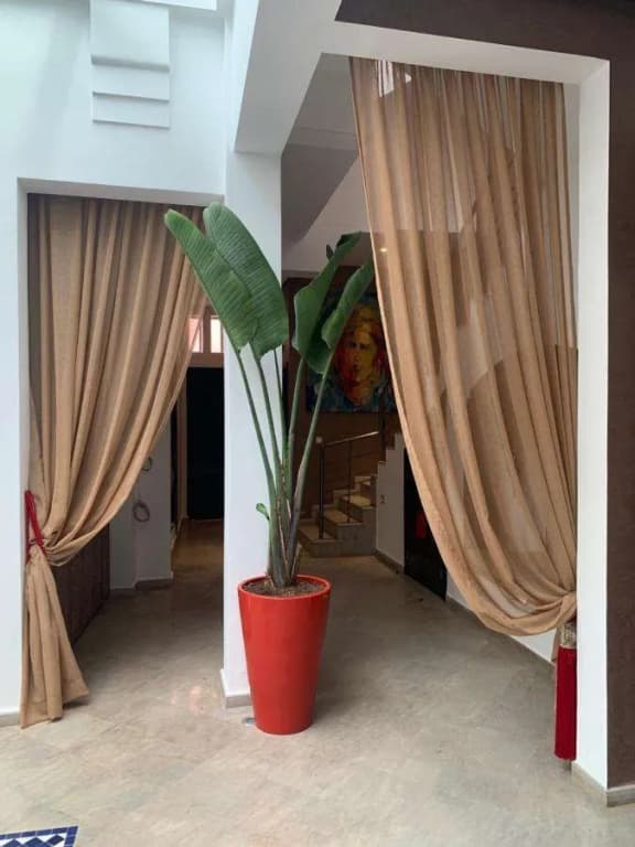 Riad Le Patio Romantique - photo 31