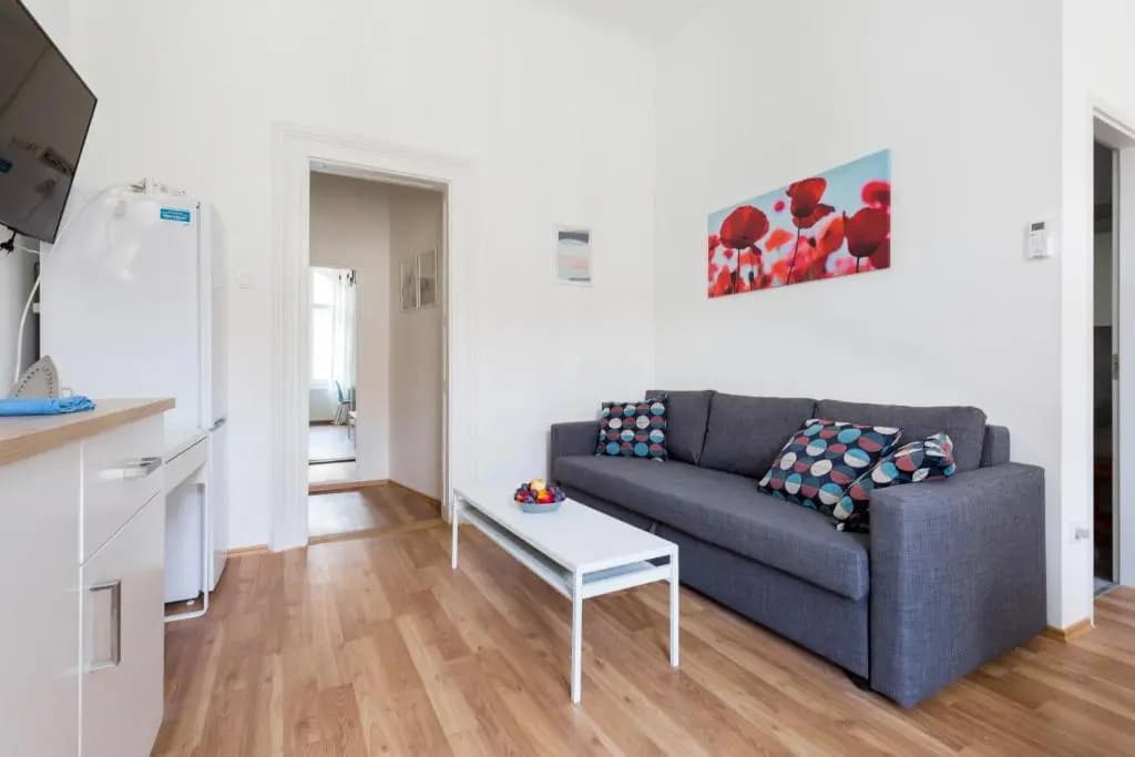 Best Vacation Apartment in Budapest - photo 2