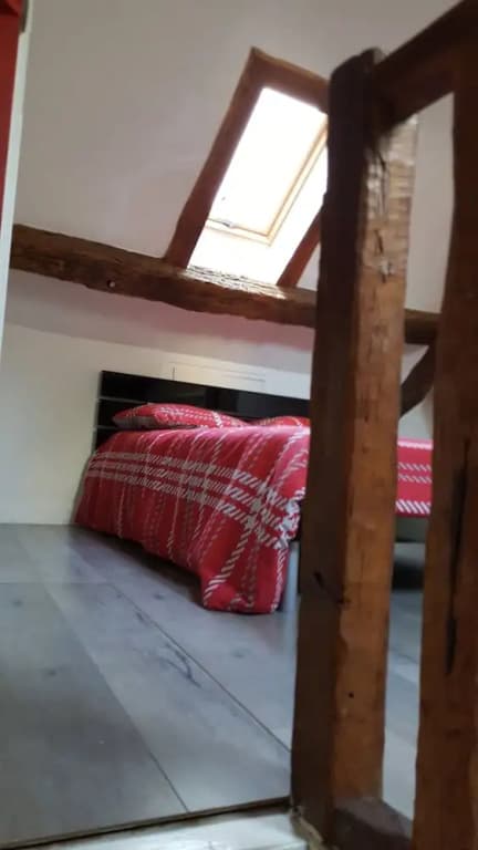 Duplex Notre Dame - photo 6