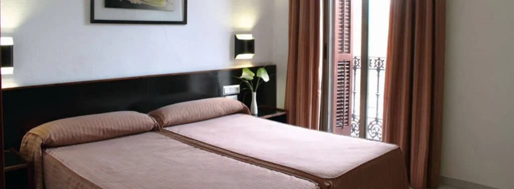 Hotel Monegal - photo 4