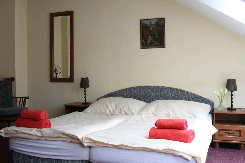 Hotel Klára - photo 4