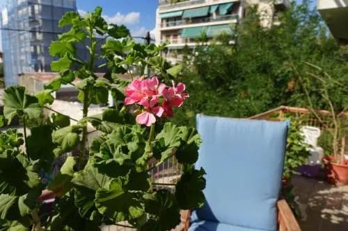 magicstay - flat 103m² 1 bedroom 1 bathroom - athens - photo 8