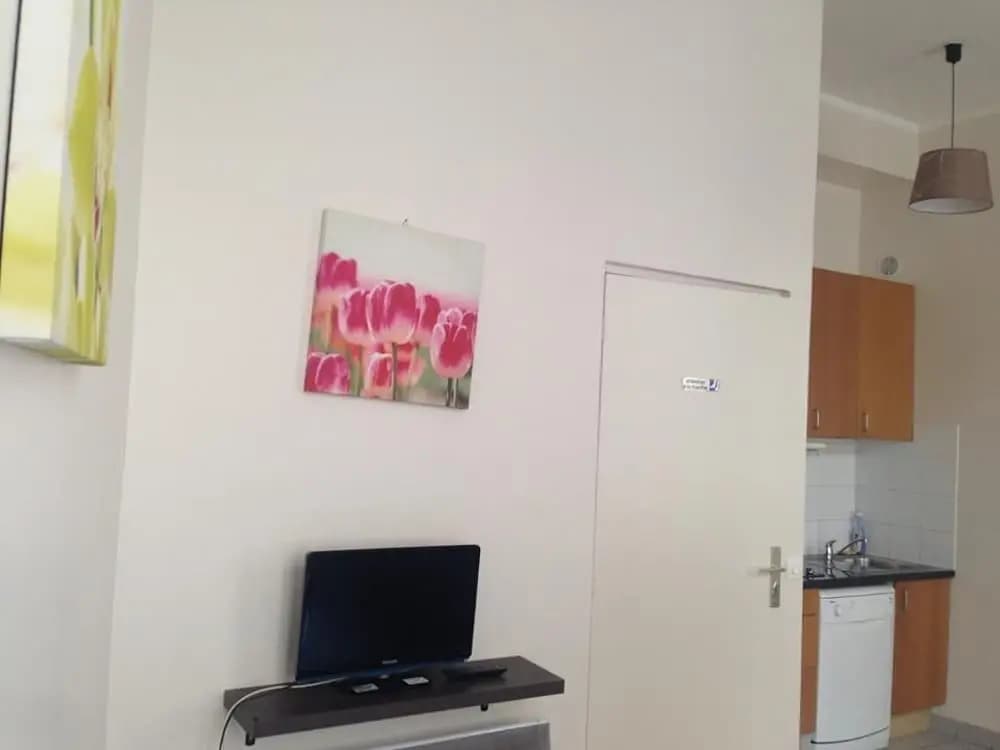 Apartment Poisson 1 - photo 4