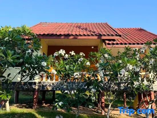 Deniz’s Chill House - photo 1