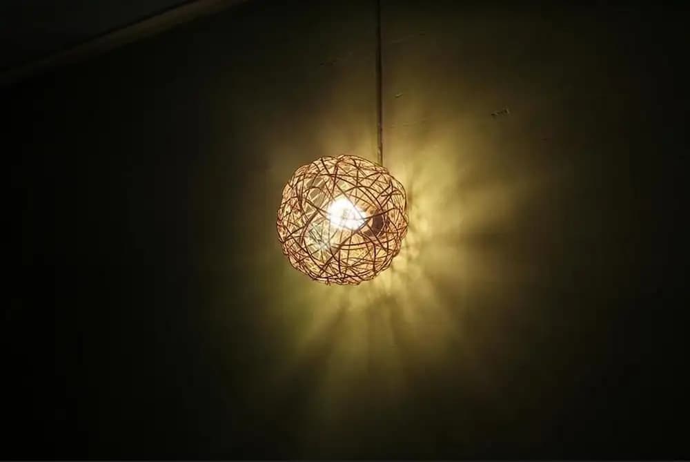 The Green Home - photo 9