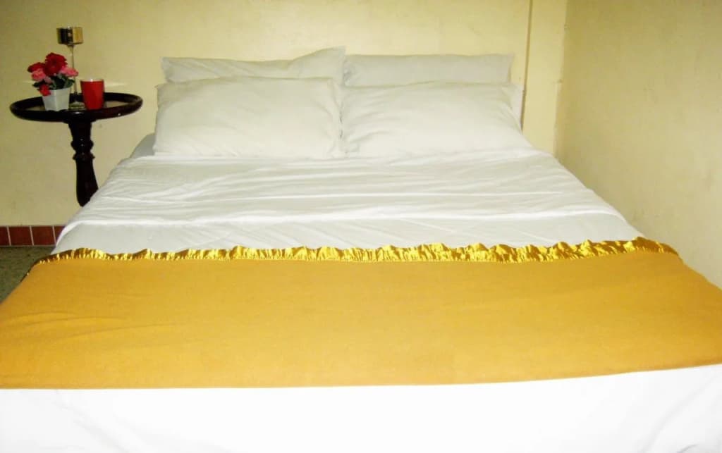 JJ Guest House - photo 4
