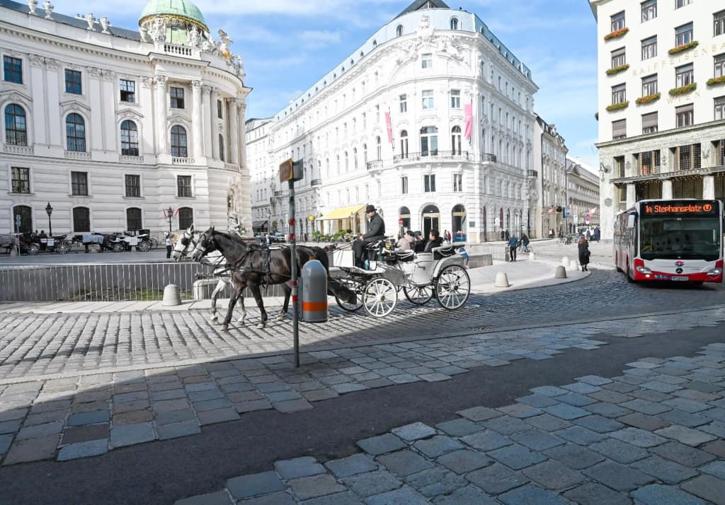 Highlight Apartment Hofburg - photo 13