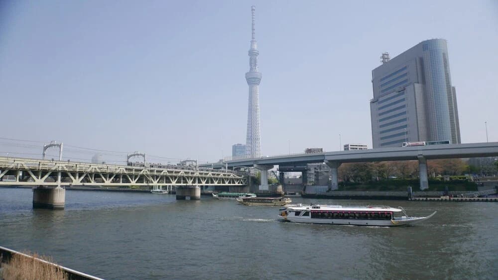 Tsuru 101 - photo 11