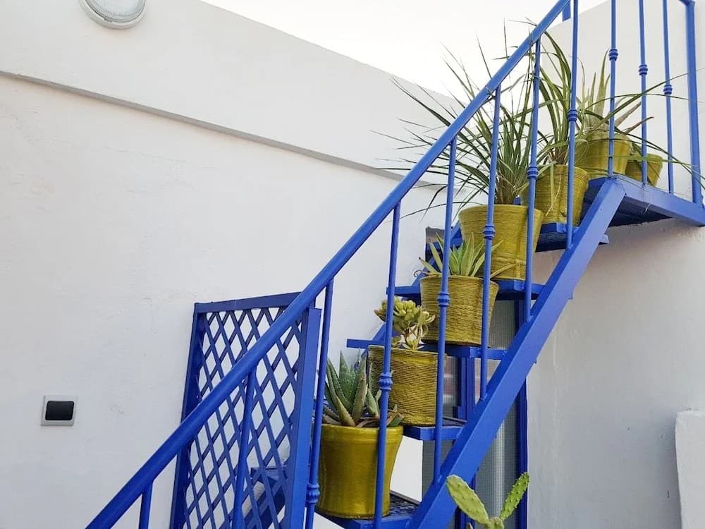 Majorelle Hostel - photo 10