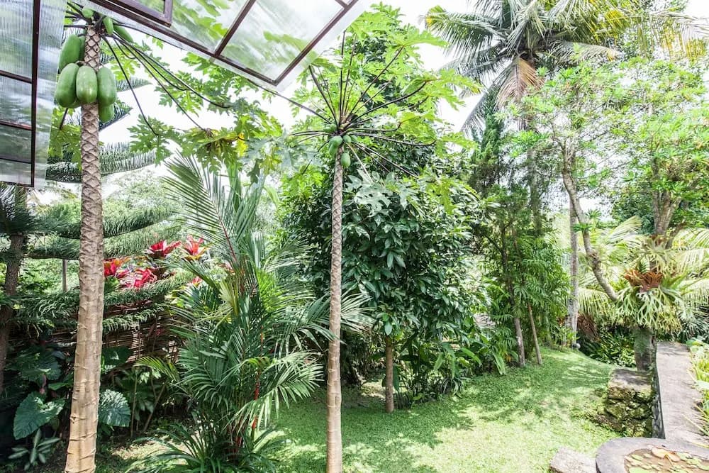 Villa Cinta - photo 12