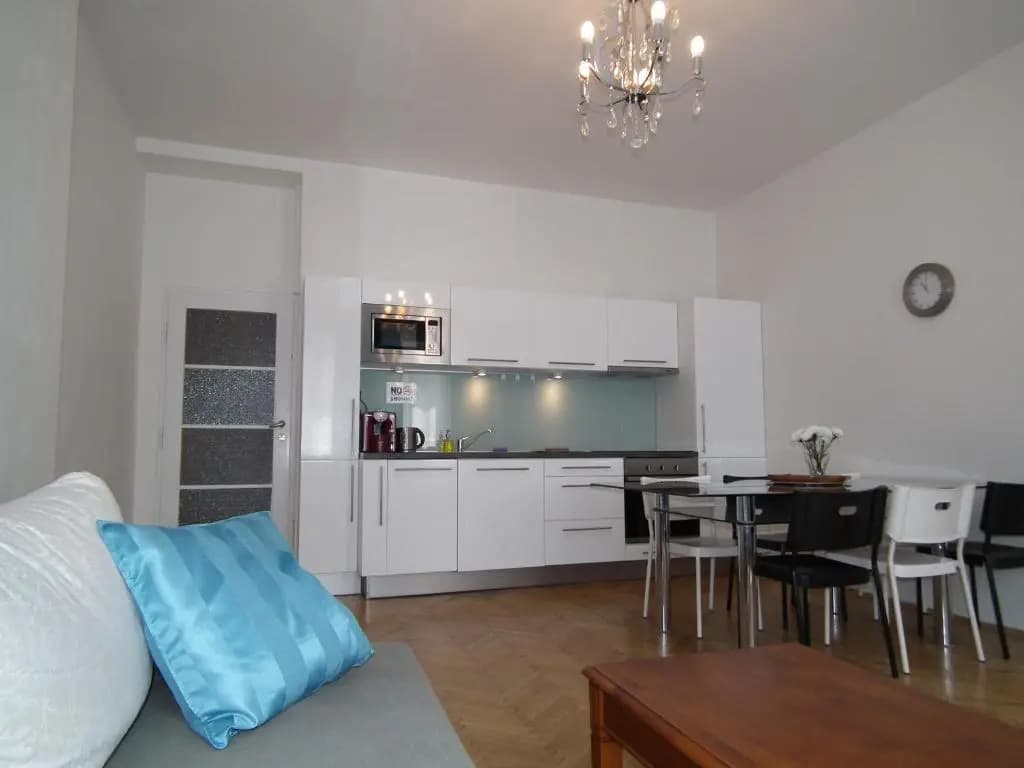 Old Town spacious apartment - photo 13