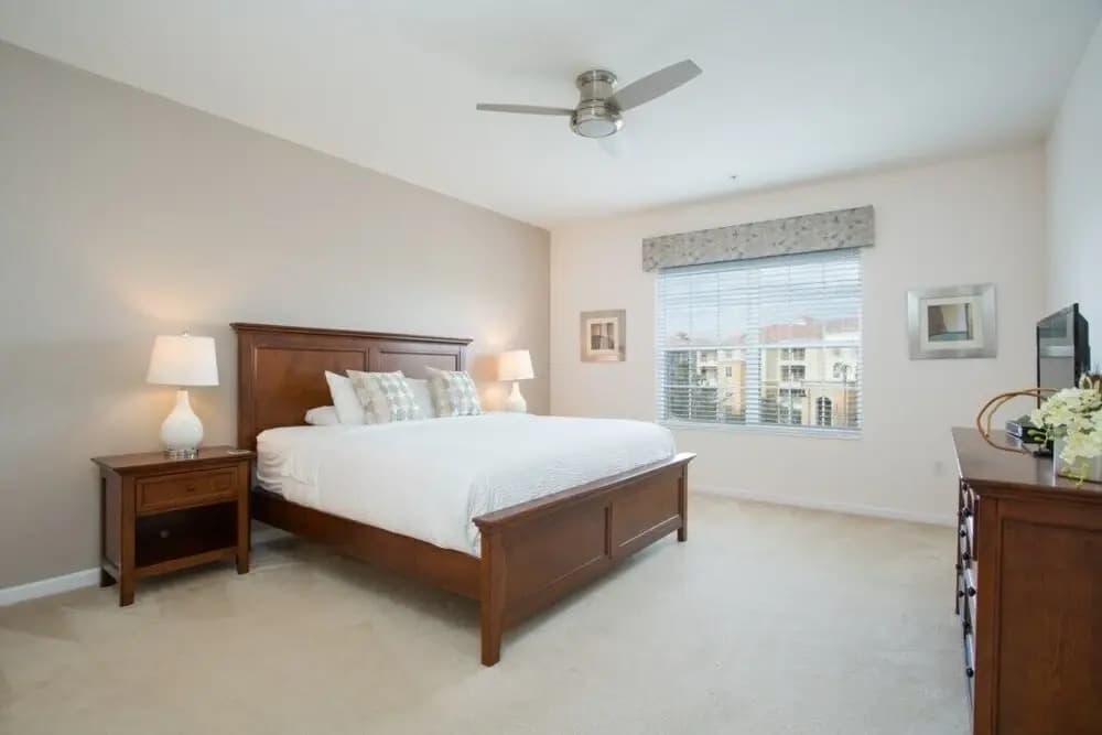 Vista Cay Diamond - photo 3