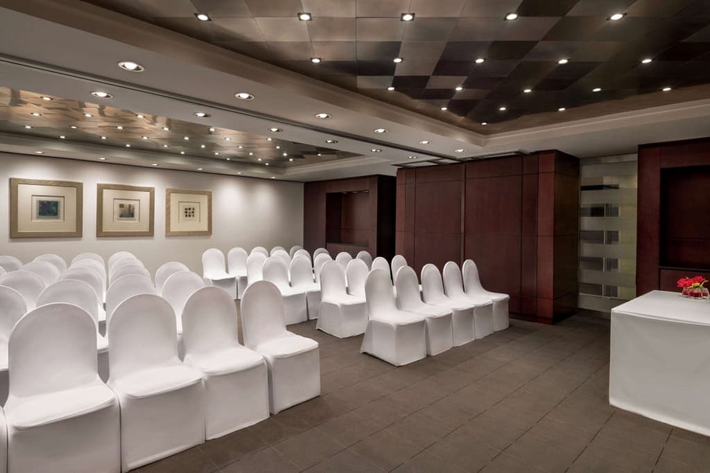 Ramada Plaza by Wyndham Dubai Deira - photo 16