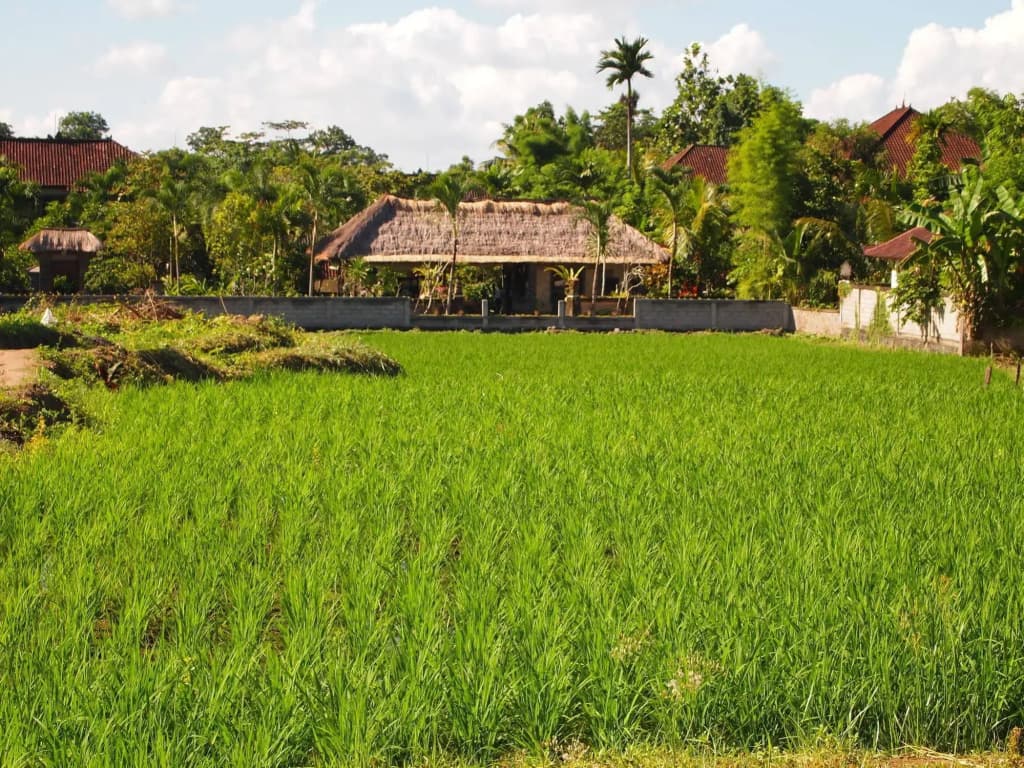 Saren Indah Hotel - photo 20