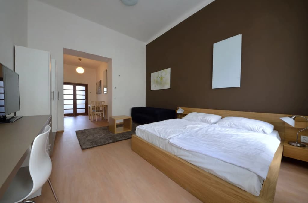 DownTown Suites Chlumova - photo 6