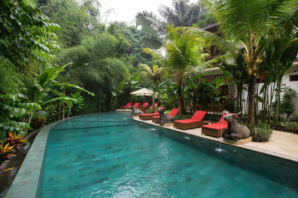Jungle Haven Resort Central Ubud - photo 14