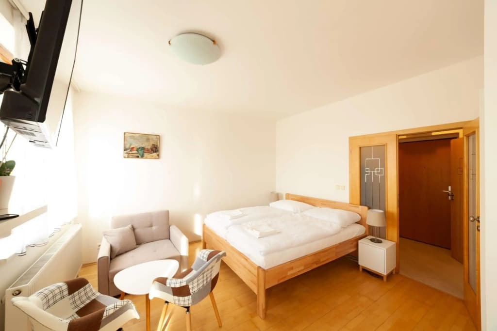 Vitkov Park Apartment - photo 10