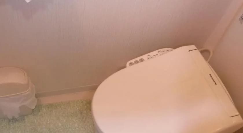 Hisayo'S Inn - photo 9