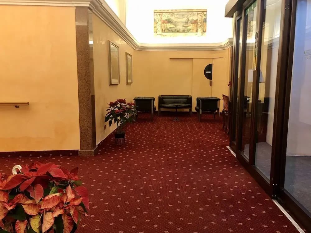 Hotel Maximus - photo 16