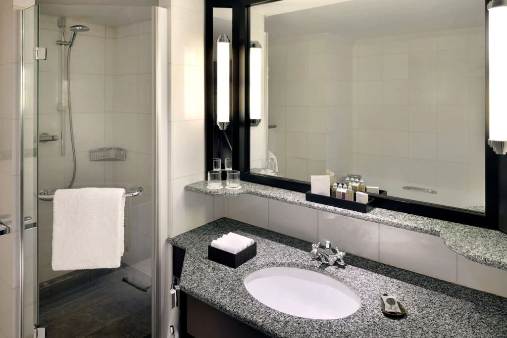 Paris Marriott Champs Elysees Hotel - photo 7