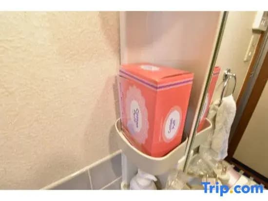 Guest House Hanare - photo 7