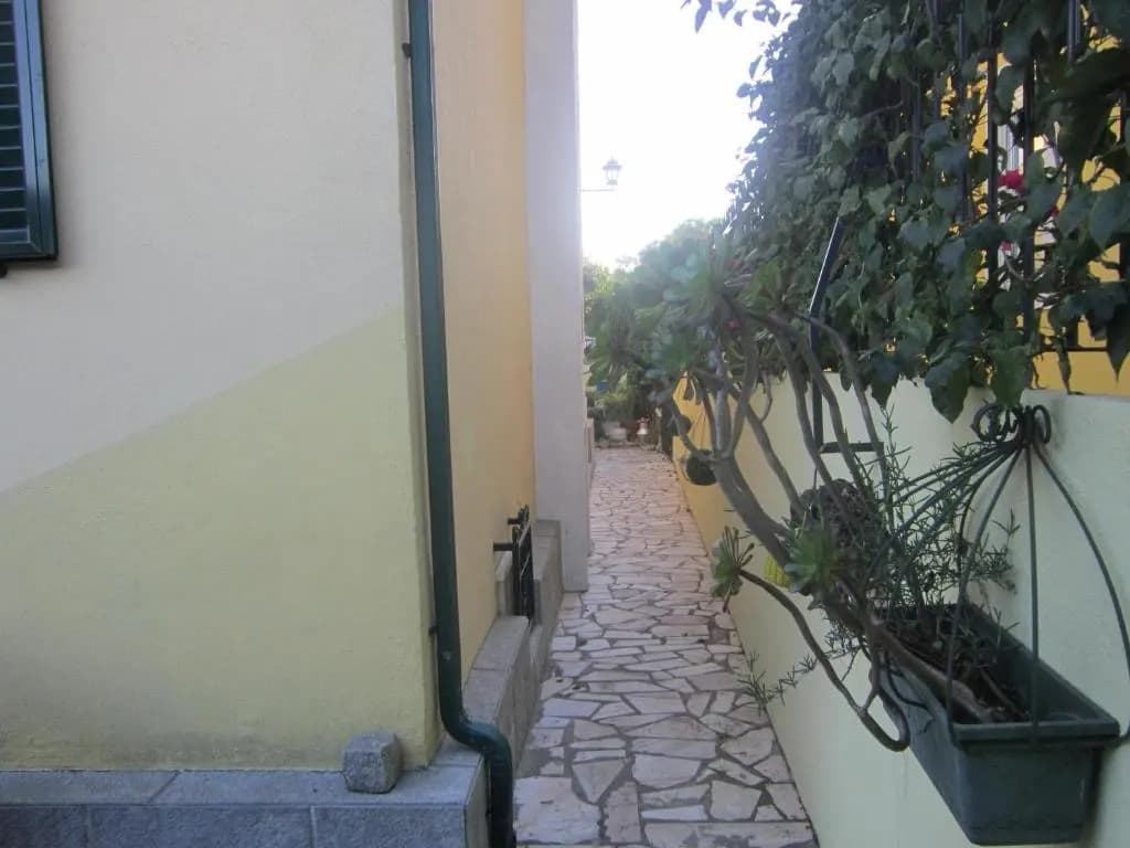 Studio & Garden - photo 2