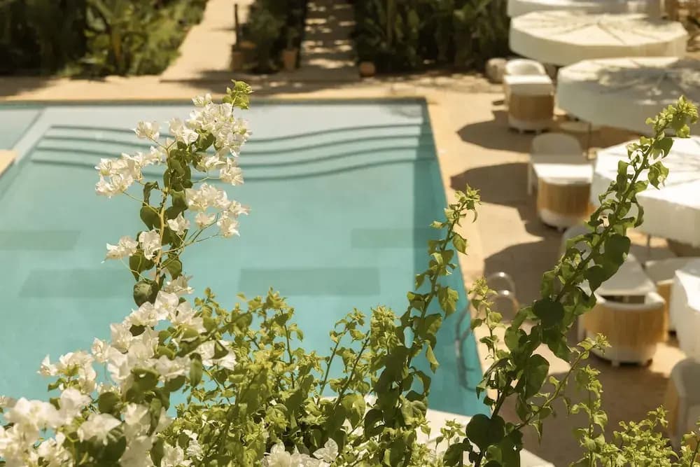 Les Palmiers Boutique Hôtel & Spa - photo 13