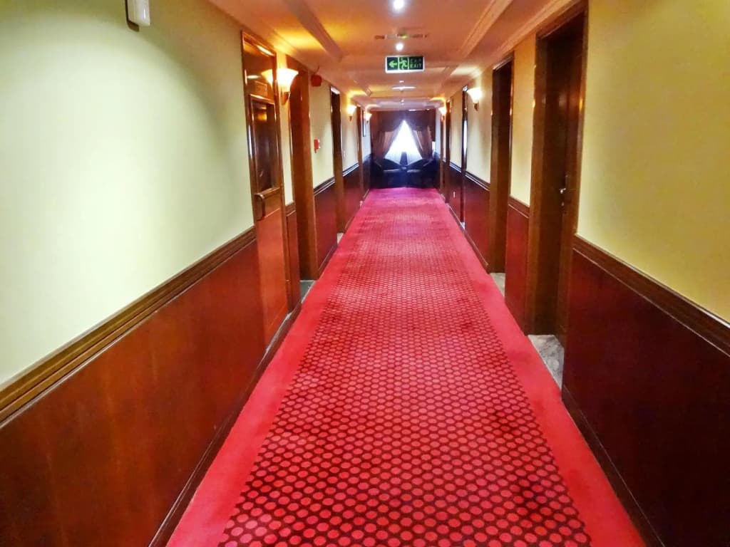 GSS Avenue Hotel - photo 9