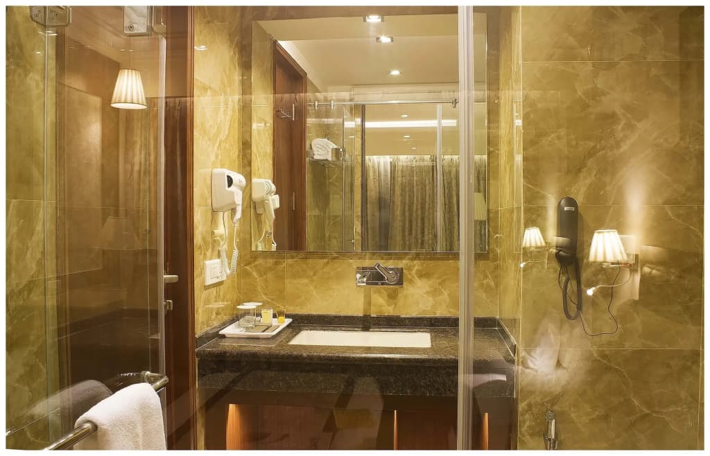 Hotel Regent Grand - photo 8