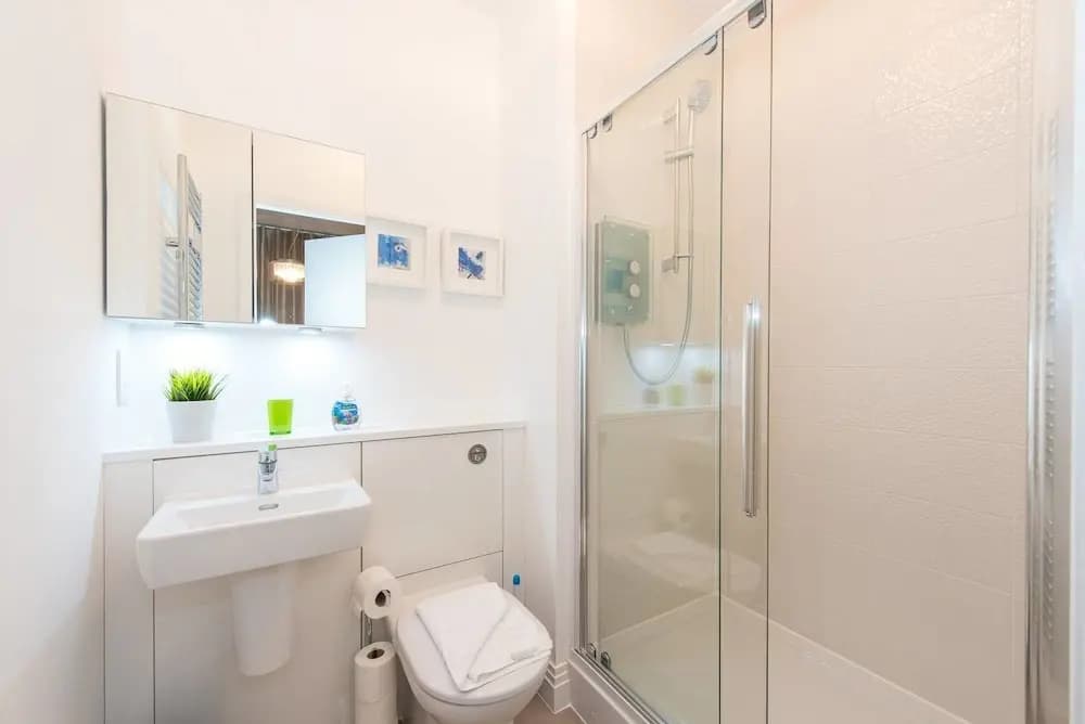 Luxury City Apartment - photo 8