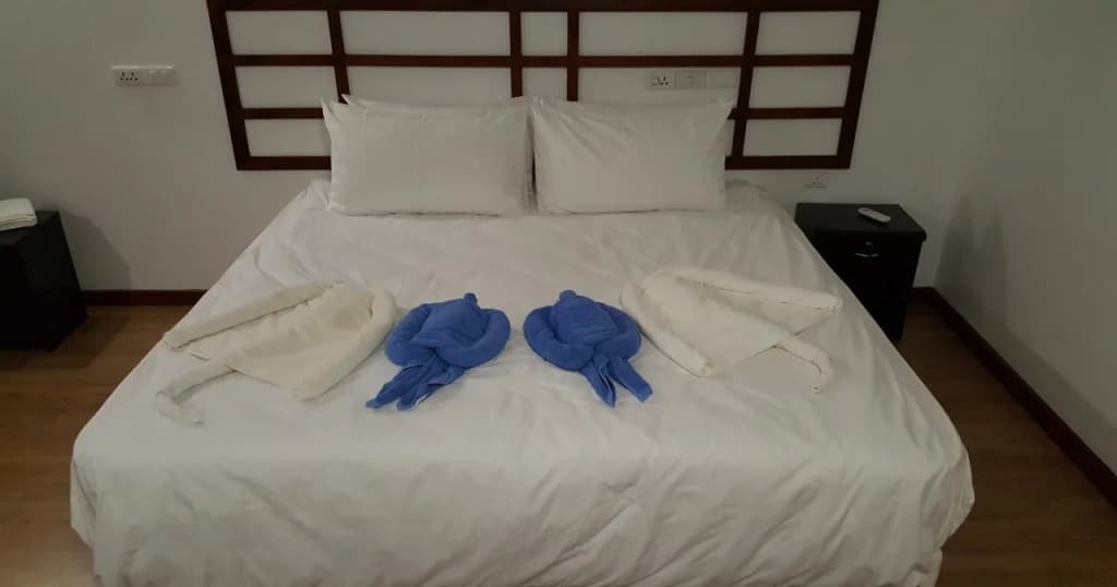 Madivaru Kro Hotel - photo 5